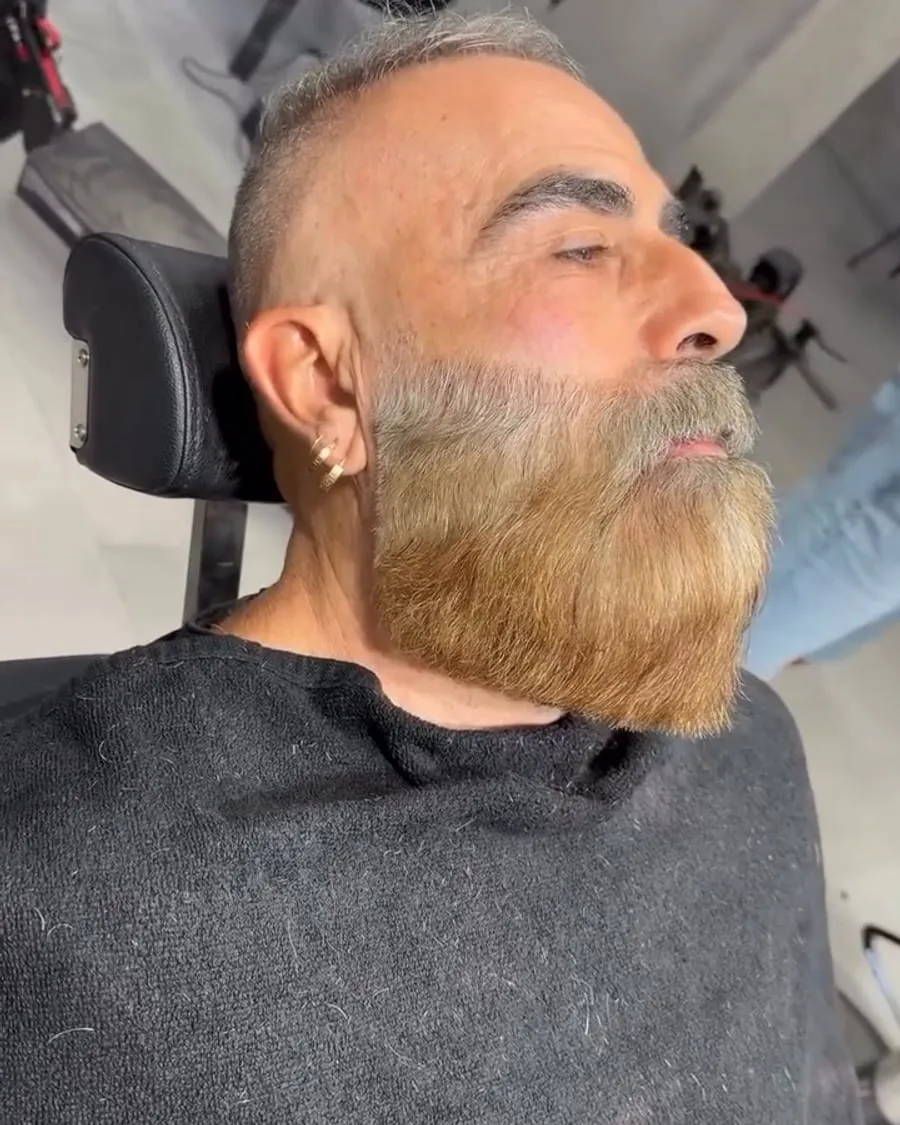Barba · Leo