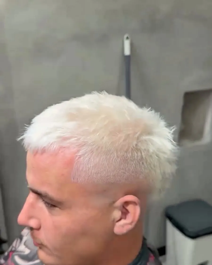 Color · Leo